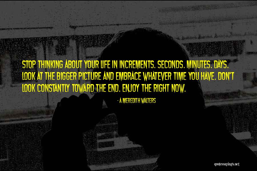 Minutes Seconds Quotes By A Meredith Walters Minutes Seconds Quotes By A Meredith Walters