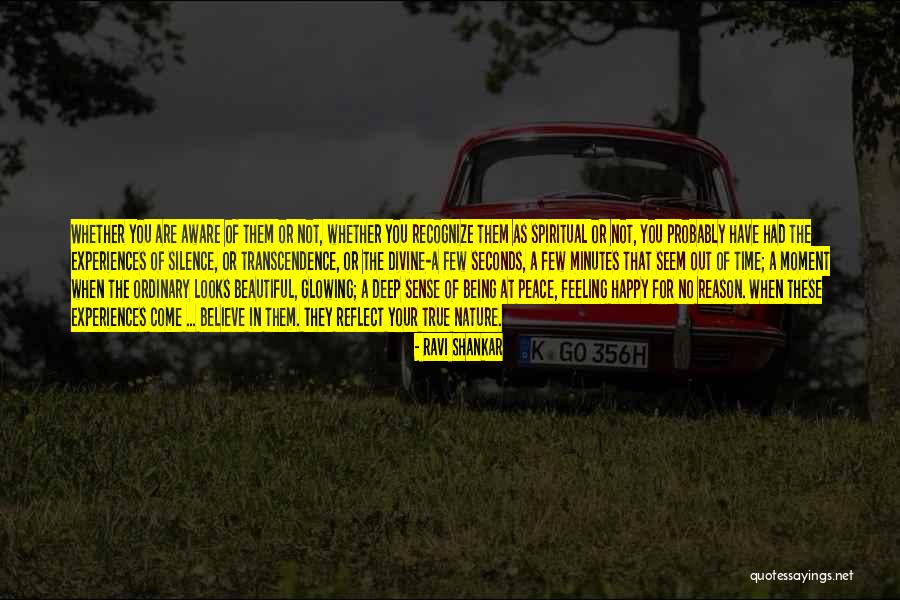 Minutes Seconds Quotes By Ravi Shankar Minutes Seconds Quotes By Ravi Shankar