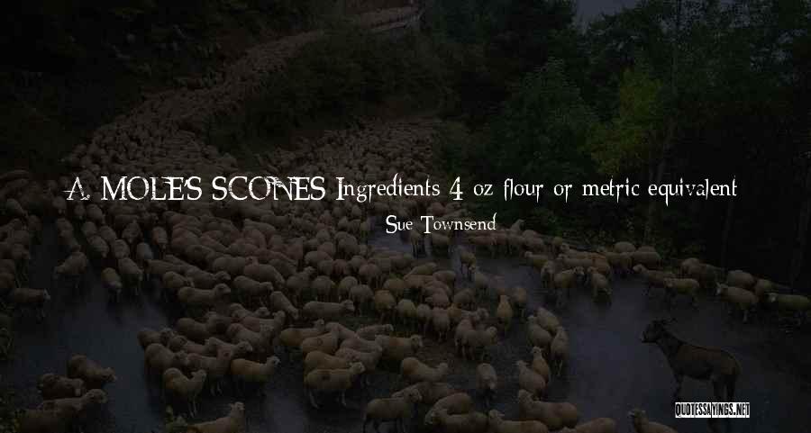 Minutes Seconds Quotes By Sue Townsend Minutes Seconds Quotes By Sue Townsend