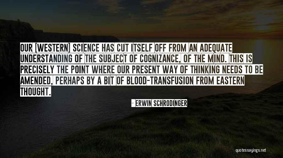 Minyan Service Quotes By Erwin Schrodinger Minyan Service Quotes By Erwin Schrodinger