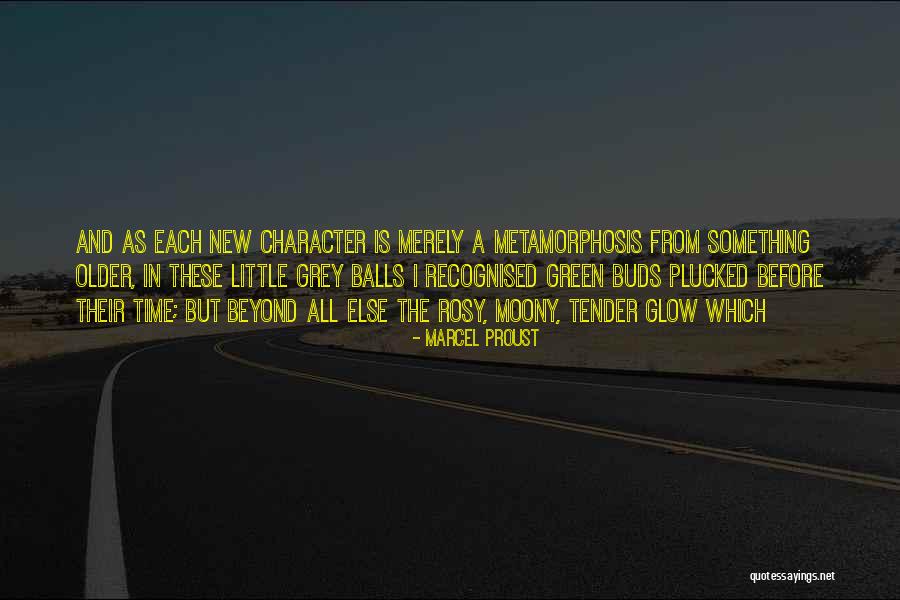 Miocene Mammals Quotes By Marcel Proust Miocene Mammals Quotes By Marcel Proust