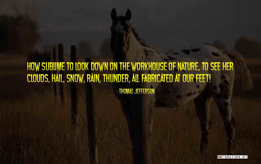 Miocic Stipe Quotes By Thomas Jefferson Miocic Stipe Quotes By Thomas Jefferson