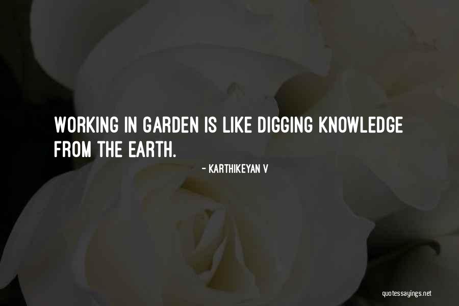 Miollie Quotes By Karthikeyan V Miollie Quotes By Karthikeyan V