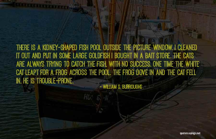 Miollie Quotes By William S. Burroughs Miollie Quotes By William S. Burroughs