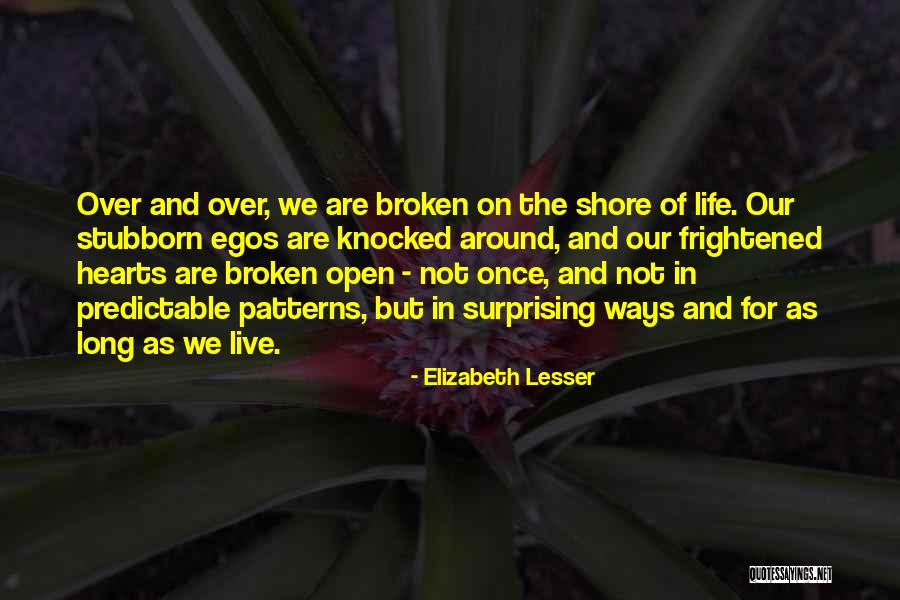 Mir Mohammad Ali Quotes By Elizabeth Lesser Mir Mohammad Ali Quotes By Elizabeth Lesser