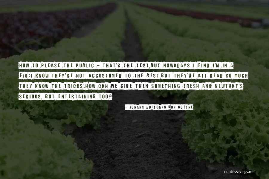 Mira Schendel Quotes By Johann Wolfgang Von Goethe