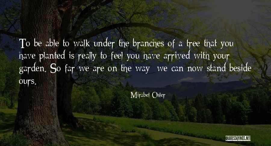 Mirabel Osler Quotes 2147891 Mirabel Osler Quotes 2147891
