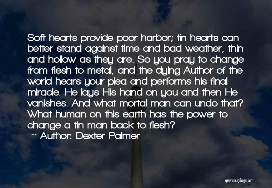 Miracle From God Quotes By Dexter Palmer