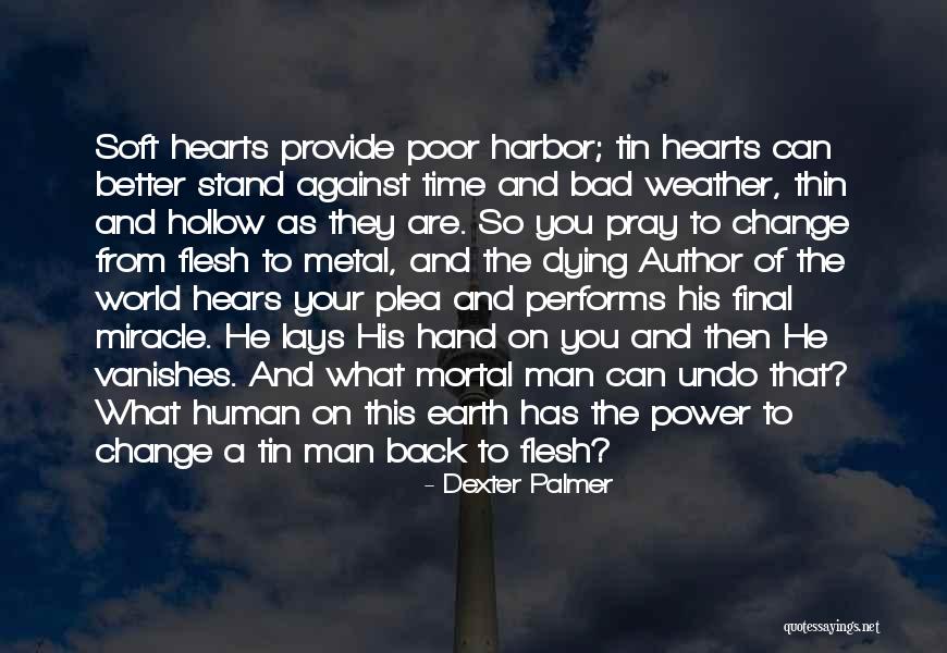 Miracle From God Quotes By Dexter Palmer