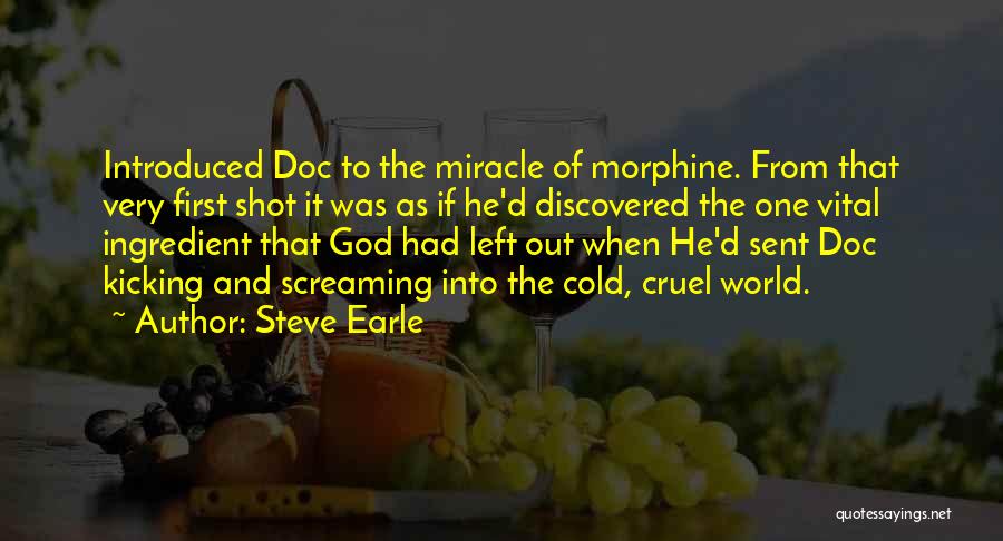 Miracle From God Quotes By Steve Earle