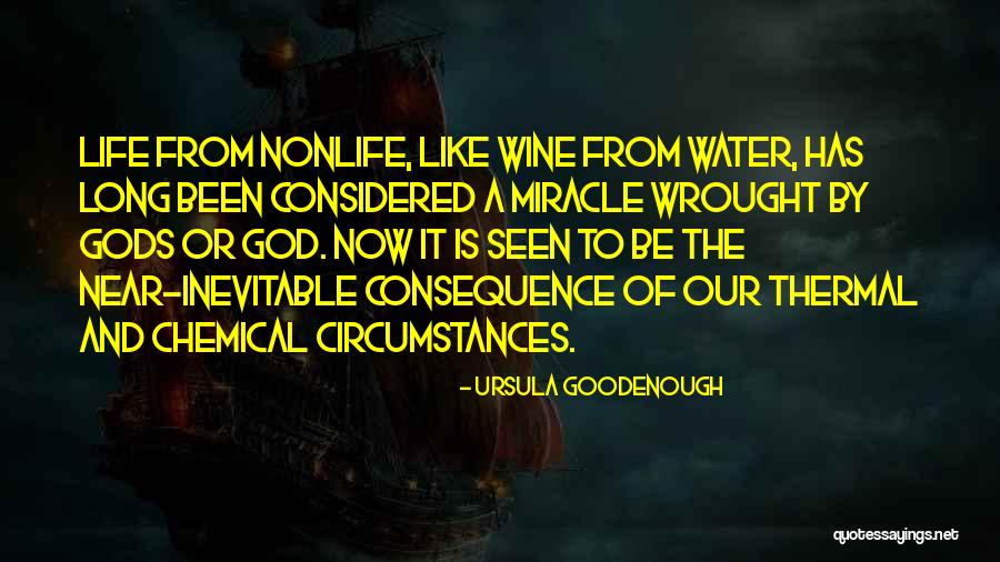 Miracle From God Quotes By Ursula Goodenough