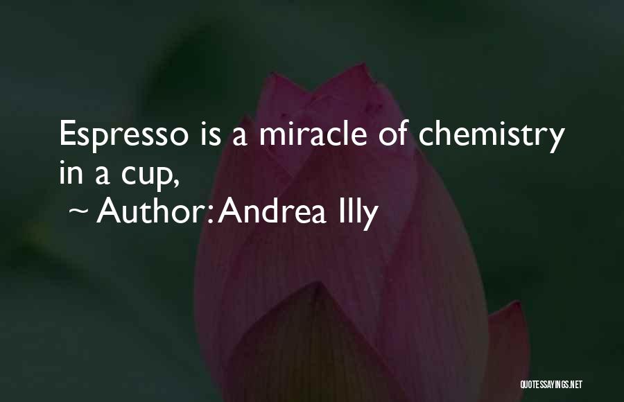 Miracle Quotes By Andrea Illy