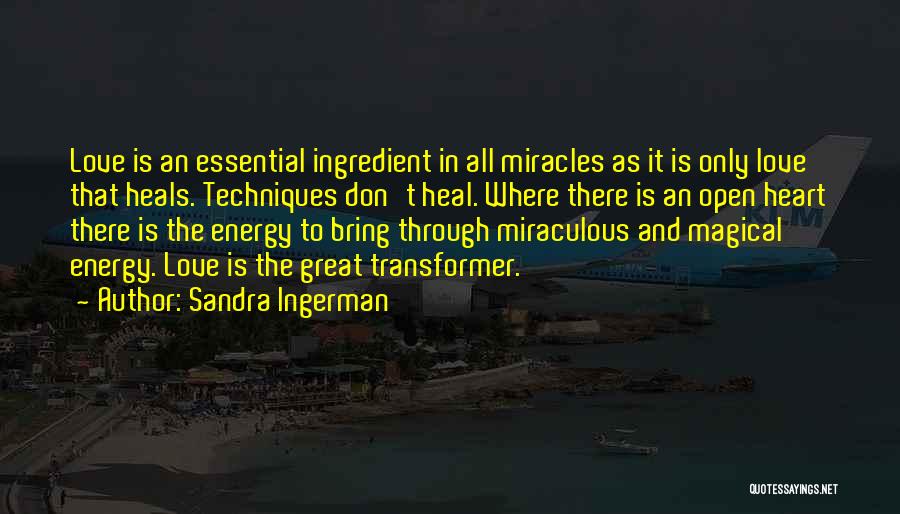 Miracles And Love Quotes By Sandra Ingerman