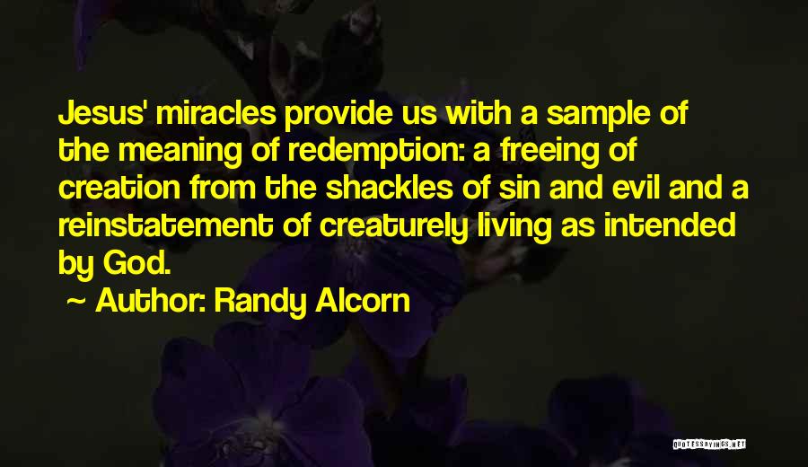 Miracles From God Quotes By Randy Alcorn