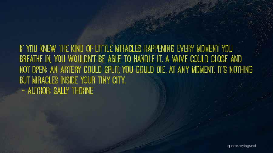 Miracles Not Happening Quotes By Sally Thorne