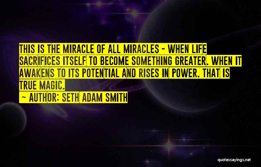 Miracles Of Life Quotes By Seth Adam Smith