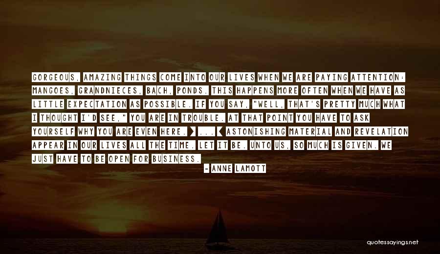Mirage Funny Quotes By Anne Lamott Mirage Funny Quotes By Anne Lamott