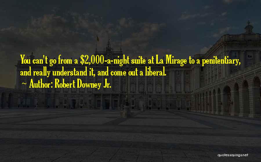 Mirages Quotes By Robert Downey Jr.