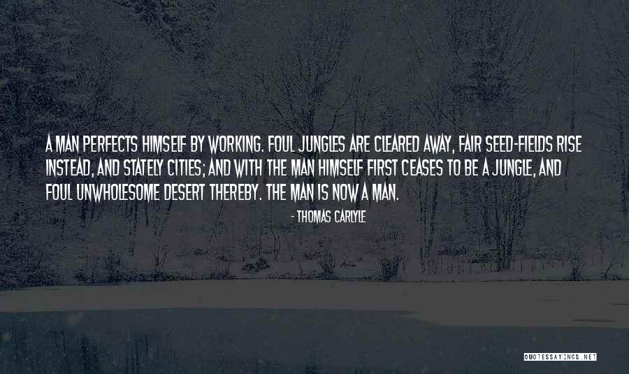 Mirandas Xviara Quotes By Thomas Carlyle Mirandas Xviara Quotes By Thomas Carlyle