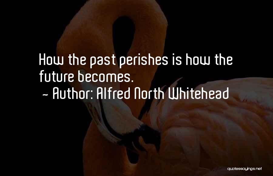 Mirantis Openstack Quotes By Alfred North Whitehead