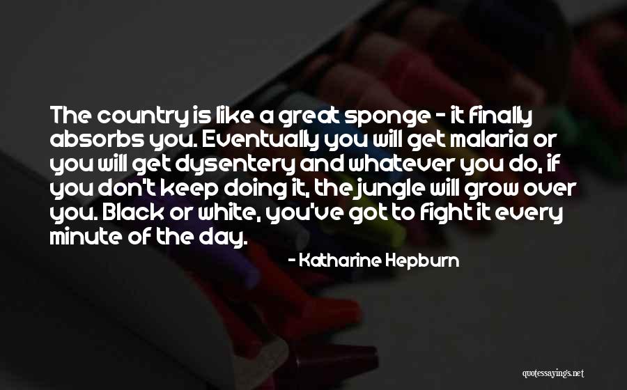 Mirazipam Quotes By Katharine Hepburn Mirazipam Quotes By Katharine Hepburn
