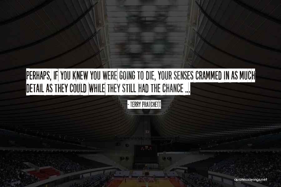 Mircera Dosage Quotes By Terry Pratchett Mircera Dosage Quotes By Terry Pratchett
