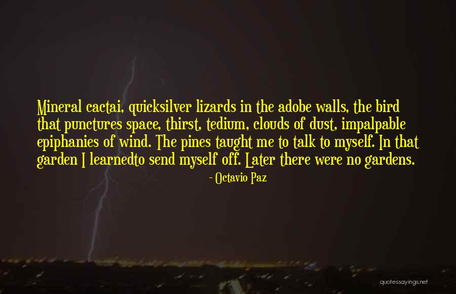 Miredys 2020 Quotes By Octavio Paz