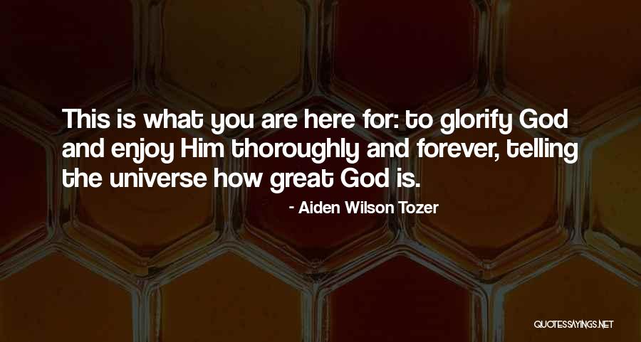 Mirigliani Figlio Quotes By Aiden Wilson Tozer Mirigliani Figlio Quotes By Aiden Wilson Tozer