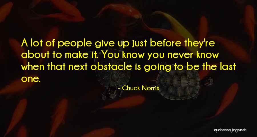 Mirimo Gaspard Quotes By Chuck Norris Mirimo Gaspard Quotes By Chuck Norris