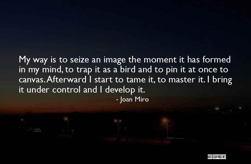 Miro Quotes By Joan Miro