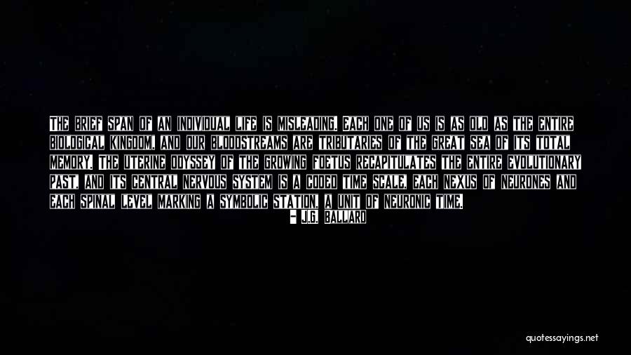 Mirochnick Religious School Quotes By J.G. Ballard Mirochnick Religious School Quotes By J.G. Ballard
