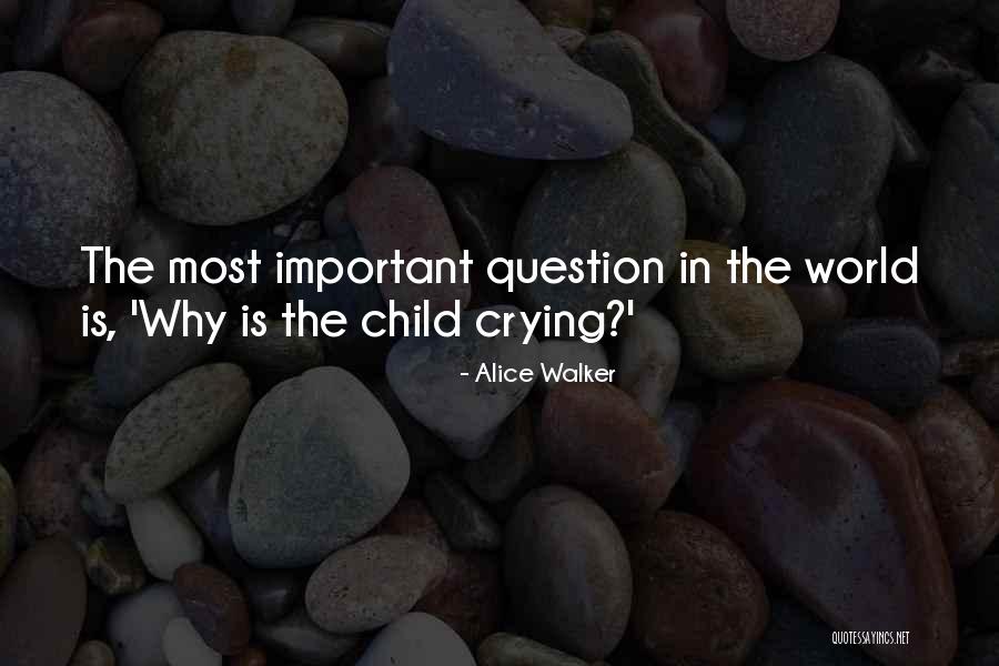 Miroslawa Skowronska Quotes By Alice Walker Miroslawa Skowronska Quotes By Alice Walker