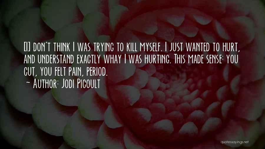 Mirrlees Theory Quotes By Jodi Picoult