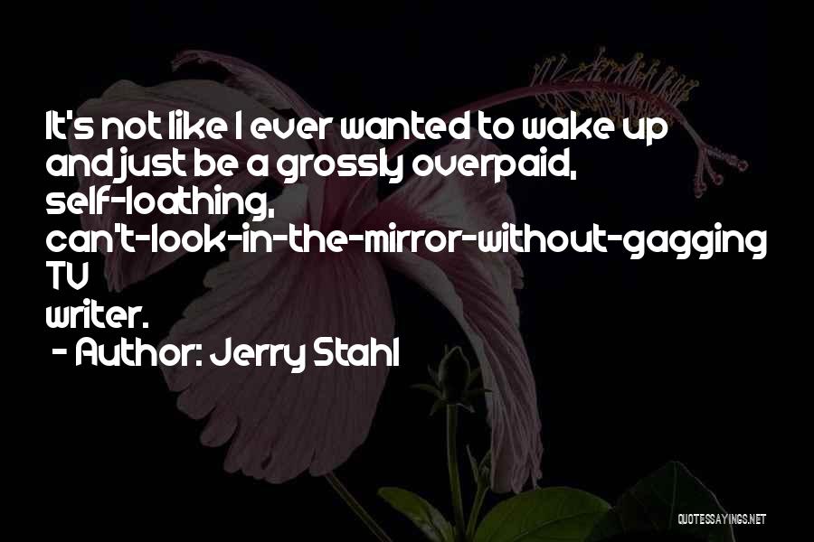 Mirror And Self Quotes By Jerry Stahl