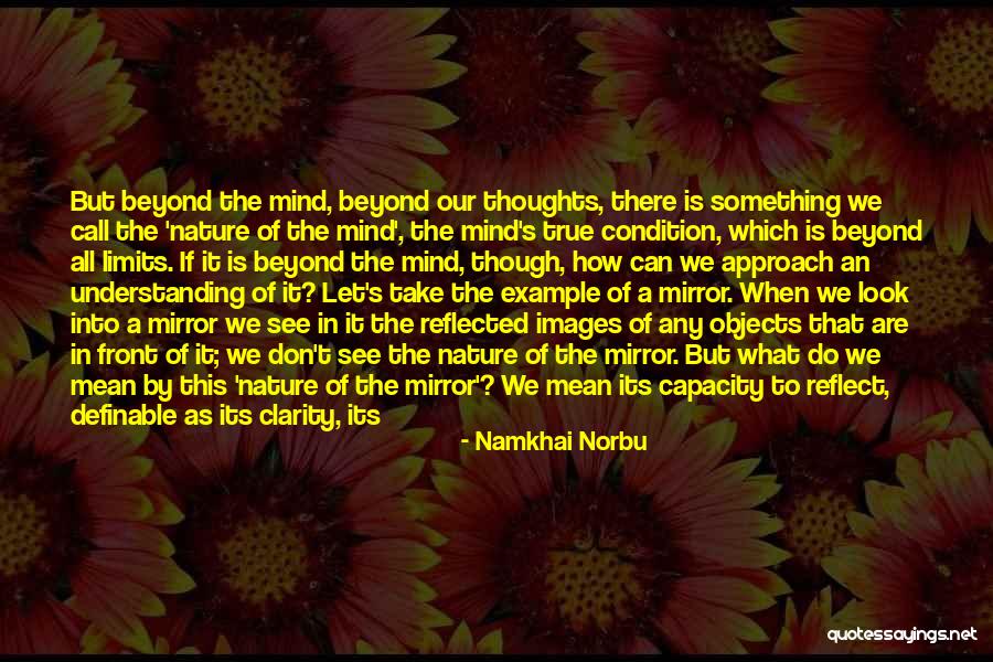 Mirror Images Quotes By Namkhai Norbu