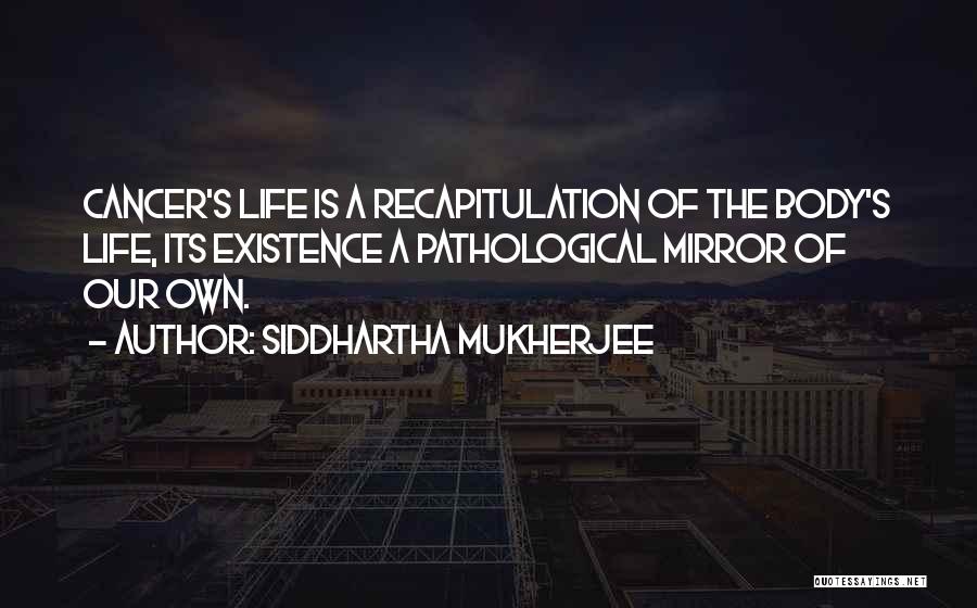 Mirror Life Quotes By Siddhartha Mukherjee