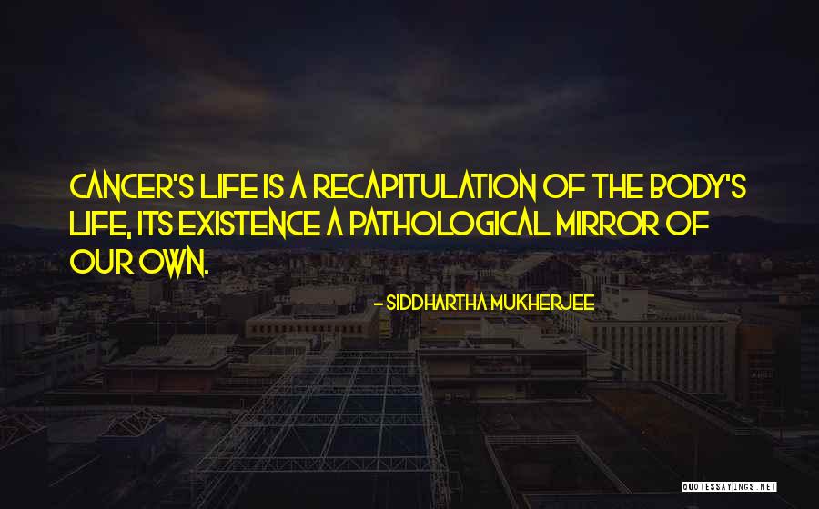 Mirror Mirror Quotes By Siddhartha Mukherjee Mirror Mirror Quotes By Siddhartha Mukherjee