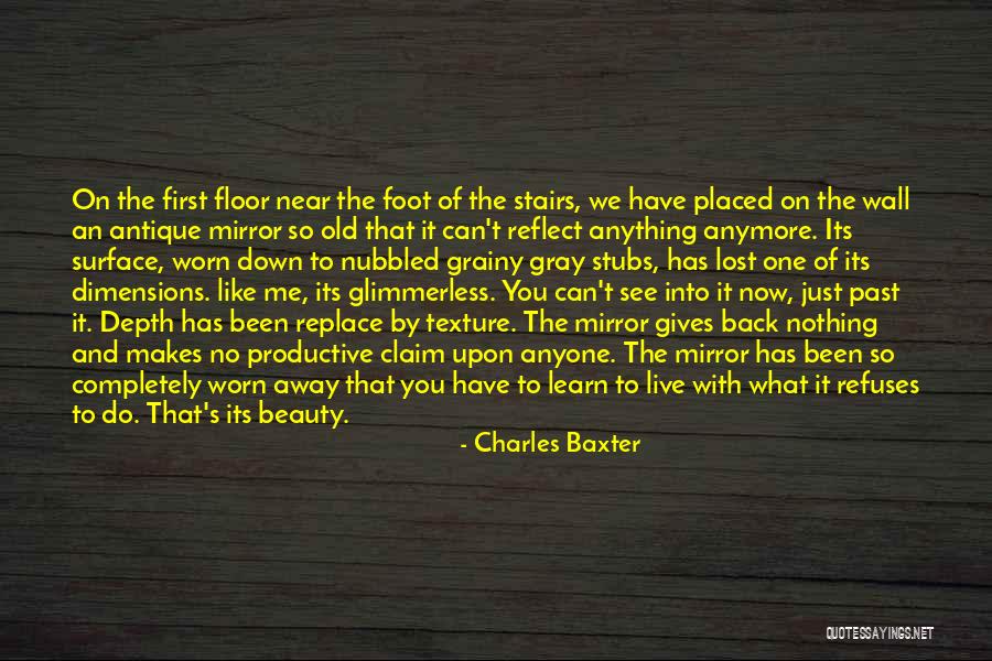 Mirror On The Wall Quotes By Charles Baxter