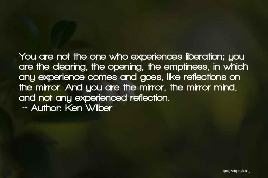 Mirror Reflection Quotes By Ken Wilber