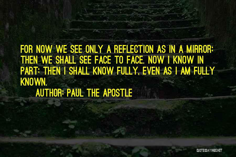 Mirror Reflection Quotes By Paul The Apostle