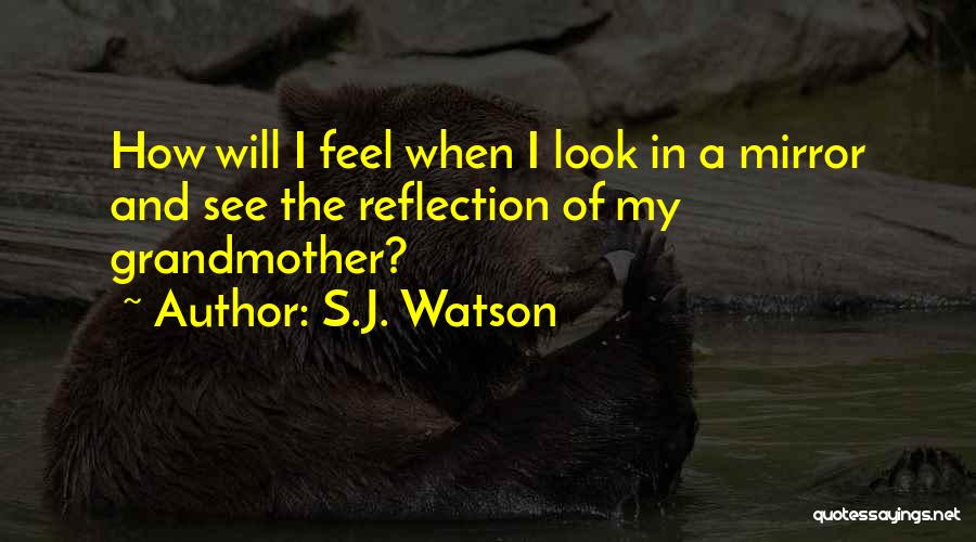 Mirror Reflection Quotes By S.J. Watson