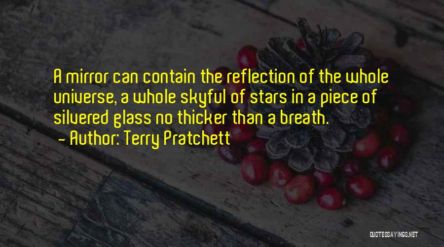 Mirror Reflection Quotes By Terry Pratchett