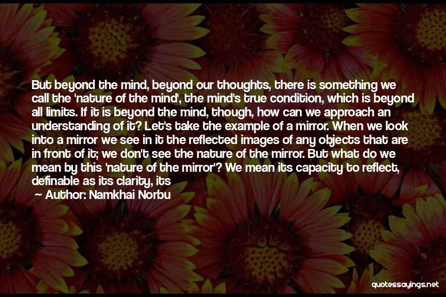 Mirror Reflections Quotes By Namkhai Norbu