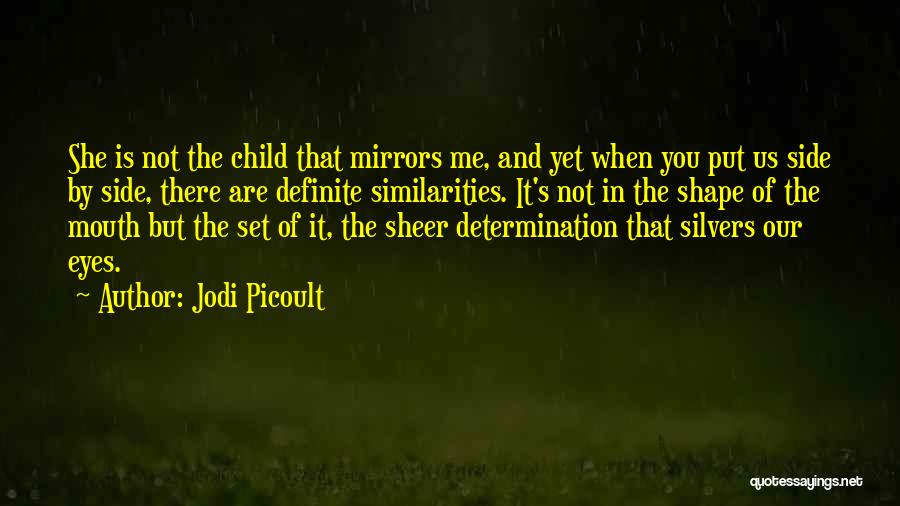 Mirrors And Eyes Quotes By Jodi Picoult