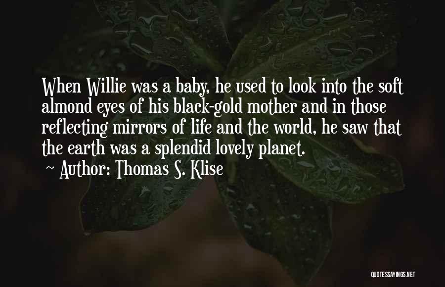 Mirrors And Eyes Quotes By Thomas S. Klise