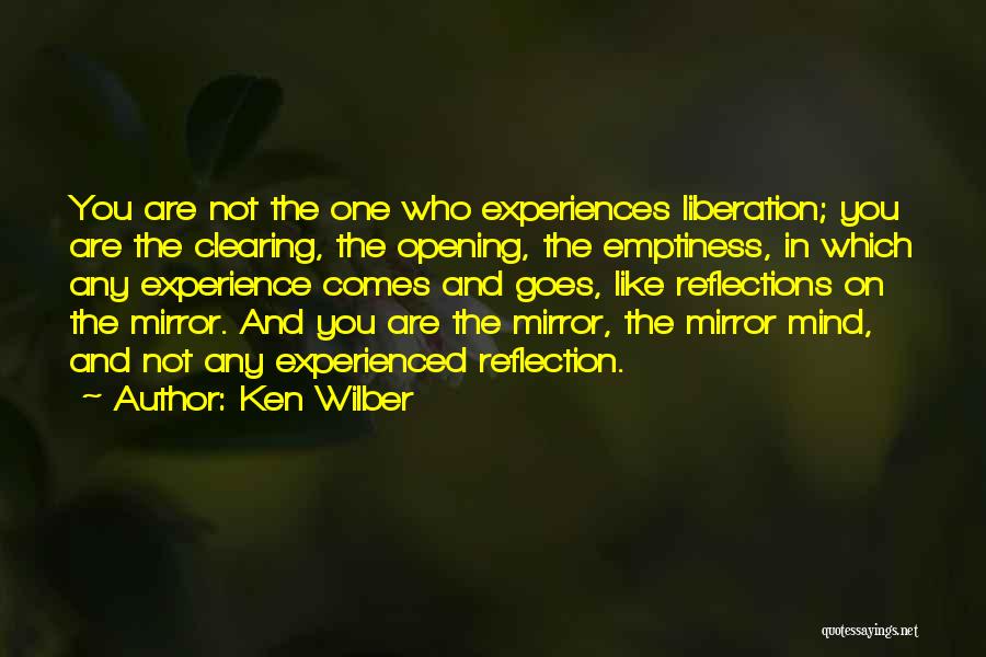 Mirrors Reflections Quotes By Ken Wilber