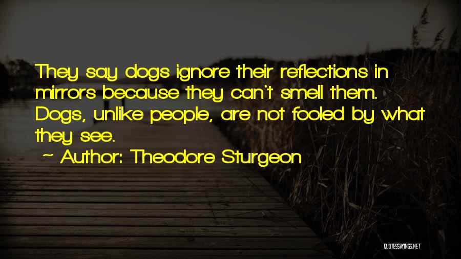 Mirrors Reflections Quotes By Theodore Sturgeon