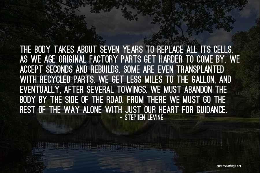 Mirtes Ogas Quotes By Stephen Levine