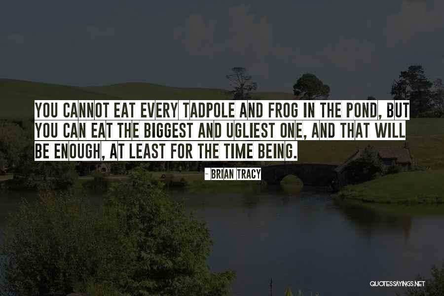 Mirthful In A Sentence Quotes By Brian Tracy Mirthful In A Sentence Quotes By Brian Tracy
