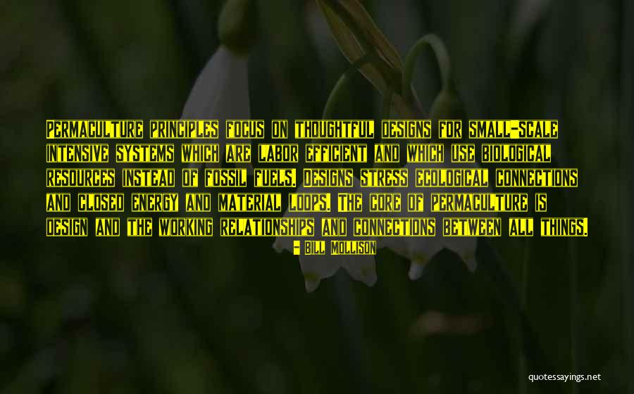 Mirusia Louwerse Quotes By Bill Mollison Mirusia Louwerse Quotes By Bill Mollison